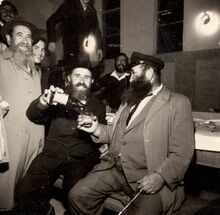 זלמן ריבקין.jpg