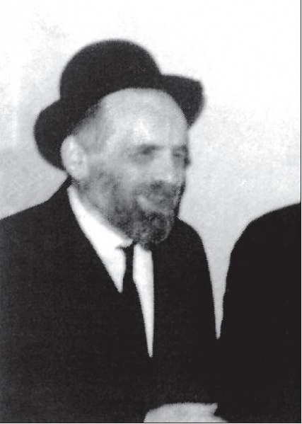 קובץ:נחום פרצוביץ.JPG