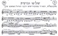תמונה ממוזערת לגרסה מ־23:30, 13 ביולי 2007