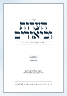 כריכה-הערות-וביאורים-א.gif