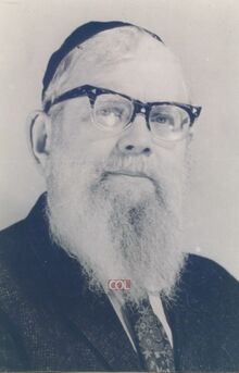 דובער ריקמן.jpg