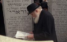 הרבי על ציון רשג.jpg